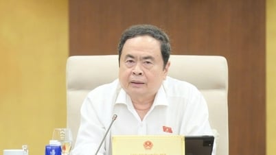 Các Ủy ban của Quốc hội sẽ tổ chức phiên giải trình về thuốc, thực phẩm giả