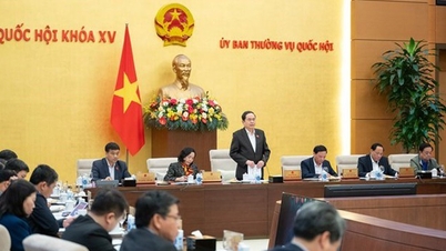 Tin tức sáng 10-7: Ủy ban Thường vụ Quốc hội xem xét phê chuẩn bổ nhiệm nhân sự