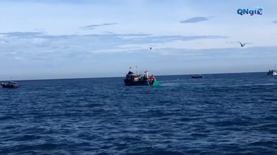 Ngư dân nỗ lực khắc phục lỗi kết nối máy giám sát hành trình