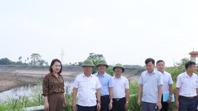 Khắc phục bất cập, khẩn trương bảo vệ trọng điểm xung yếu đê điều