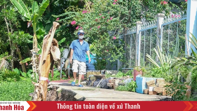 Đề nghị 29 tỉnh, thành phố đảm bảo an toàn đê điều trong mùa mưa lũ