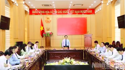 Hội nghị Ban Chấp hành Đảng bộ UBND tỉnh lần thứ nhất