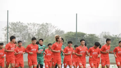 Xem đội tuyển U23 Việt Nam đá giải Vô địch Đông Nam Á ở đâu, trên kênh nào?