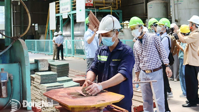 Triển khai công tác quản lý rác sinh hoạt và thực hiện chính sách EPR trên địa bàn Đồng Nai