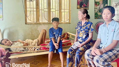 Nhịp cầu nhân ái: Xin giúp đỡ một gia cảnh cùng cực