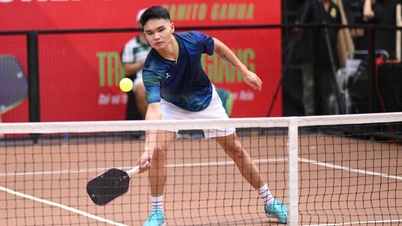 Khi Trịnh Linh Giang bỏ tennis và vô địch pickleball