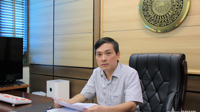 Nguyễn Dân Huy: Người cán bộ tâm huyết với di sản, hết lòng vì cộng đồng