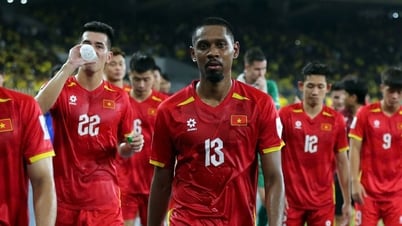Bảng xếp hạng FIFA: Đội tuyển Việt Nam vẫn xếp trên Indonesia và Malaysia, Thái Lan thì sao?