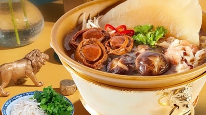 Trải nghiệm đỉnh cao ẩm thực vi cá - bào ngư tại Thai Village