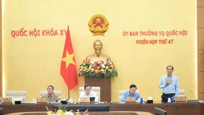 Khoảng 30% sinh viên tốt nghiệp không làm trong lĩnh vực được đào tạo