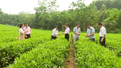 Thái Nguyên: Tổng dư nợ tín dụng chính sách qua ủy thác đạt hơn 8,8 nghìn tỷ đồng