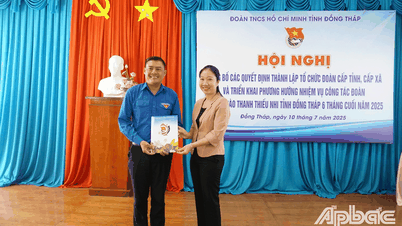 Tỉnh Đồng Tháp: Công bố các quyết định thành lập tổ chức Đoàn cấp tỉnh và cấp xã