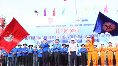 Phát động đợt thi đua cao điểm tình nguyện hỗ trợ thi công Dự án đường dây 500kV Lào Cai - Vĩnh Yên