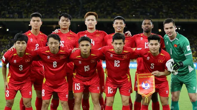 Tuyển Việt Nam tiếp tục rớt hạng trên BXH FIFA, ngày càng xa top 100