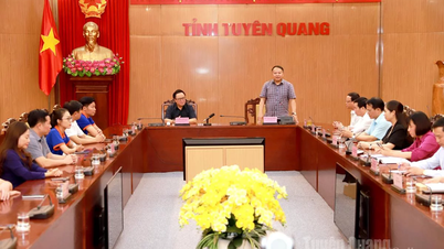 Chủ tịch UBND tỉnh Phan Huy Ngọc làm việc với Hội Doanh nhân trẻ Việt Nam
