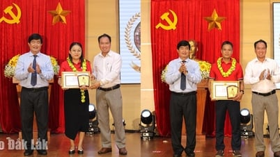 Ân tình những giọt máu hiếm