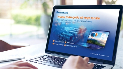 Sacombank tối ưu thanh toán quốc tế trực tuyến
