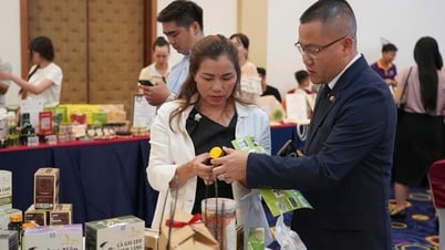 Kết nối doanh nghiệp Bắc Trung Bộ với thị trường quốc tế