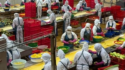 Tăng trưởng nông nghiệp: Kiên định mục tiêu, linh hoạt giải pháp