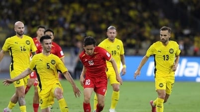 Bảng xếp hạng FIFA: Đội tuyển Việt Nam tụt 4 bậc, Malaysia có bước nhảy vọt