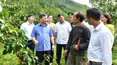 Đồng chí Chủ tịch HĐND tỉnh Nguyễn Văn Sơn thăm, làm việc tại xã Phố Bảng