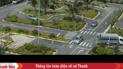 Công bố 30 trung tâm đủ điều kiện sát hạch lái xe