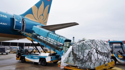 Vietnam Airlines планирует создать грузовую авиакомпанию