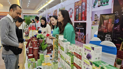 “Bệ đỡ” giúp đồng bào dân tộc thiểu số thoát nghèo