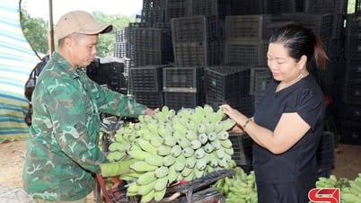 HTX kết nối tiêu thụ nông sản địa phương