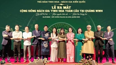 Ra mắt cộng đồng Bách gia Tinh hoa toàn cầu