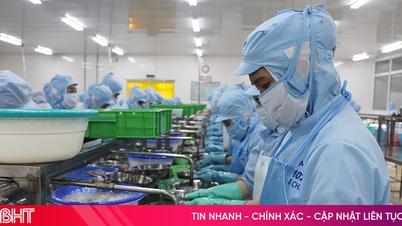 Doanh nghiệp Hà Tĩnh "chuyển mình" trước làn sóng thuế quan mới từ Mỹ