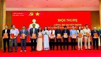 Phường Lang Biang - Đà Lạt công bố quyết định thành lập các tổ chức đảng trực thuộc