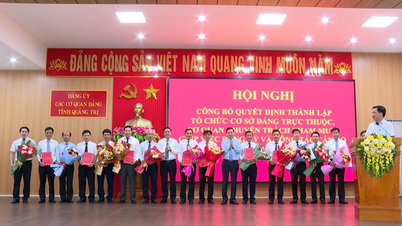 Thành lập 12 tổ chức cơ sở đảng trực thuộc Đảng bộ các cơ quan Đảng tỉnh