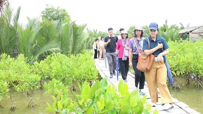 Vĩnh Long: Xu hướng xanh hóa trong ngành 'công nghiệp không khói'