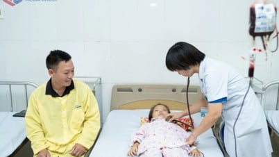 Tăng cường hợp tác y tế quốc tế trong điều trị bệnh tan máu bẩm sinh