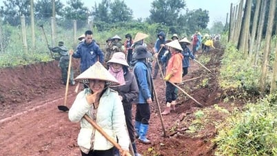Tam Đa đồng lòng mở lối