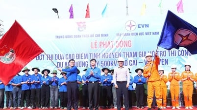 Thi đua cao điểm tình nguyện hỗ trợ thi công Dự án đường dây 500kV Lào Cai – Vĩnh Yên