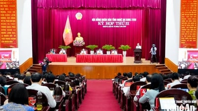 HĐND tỉnh Nghệ An chất vấn về thực trạng và giải pháp chống hàng giả, hàng kém chất lượng và thực phẩm bẩn