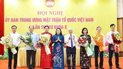 Hội nghị Ủy ban Trung ương MTTQ Việt Nam lần thứ tư, khóa X