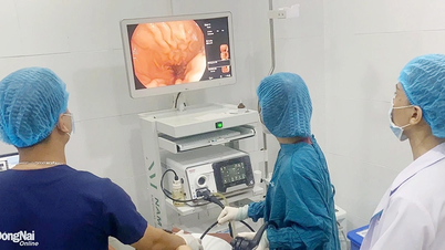 Nội soi gắp mảnh xương heo lớn trong thực quản bệnh nhân