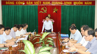 Đồng Nai khẩn trương thành lập Tổ công tác tháo gỡ các vướng mắc trong thanh lý cây và giải phóng mặt bằng đất cao su