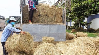 Quản lý chất thải phát sinh từ sản xuất nông nghiệp