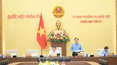 Bổ sung 4 dự án luật trình Quốc hội thông qua tại kỳ họp thứ 10