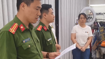 Tạm giữ hình sự đối tượng bán hàng online trốn thuế có doanh thu hàng trăm tỷ đồng
