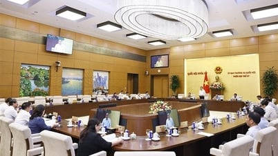 Phát triển và sử dụng nguồn nhân lực đáp ứng yêu cầu phát triển kinh tế - xã hội