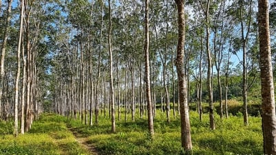 Đêm “sáng” ở vùng cao La Dạ