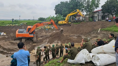Đề nghị 29 địa phương ổn định bộ máy, phân công rõ trách nhiệm bảo vệ đê điều