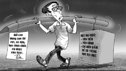 Câu chuyện mùa thi: Người trẻ hãy bước vào đời tự tin, bởi cuộc thi không phải cuộc chiến