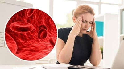 Cảnh báo những người thuộc nhóm máu này có nguy mắc cơ đột quỵ sớm cao nhất