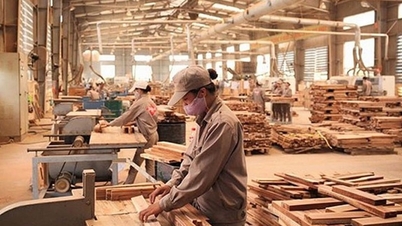 Sau đàm phán thuế đối ứng, bao nhiêu mặt hàng nhập từ Mỹ về thuế 0%